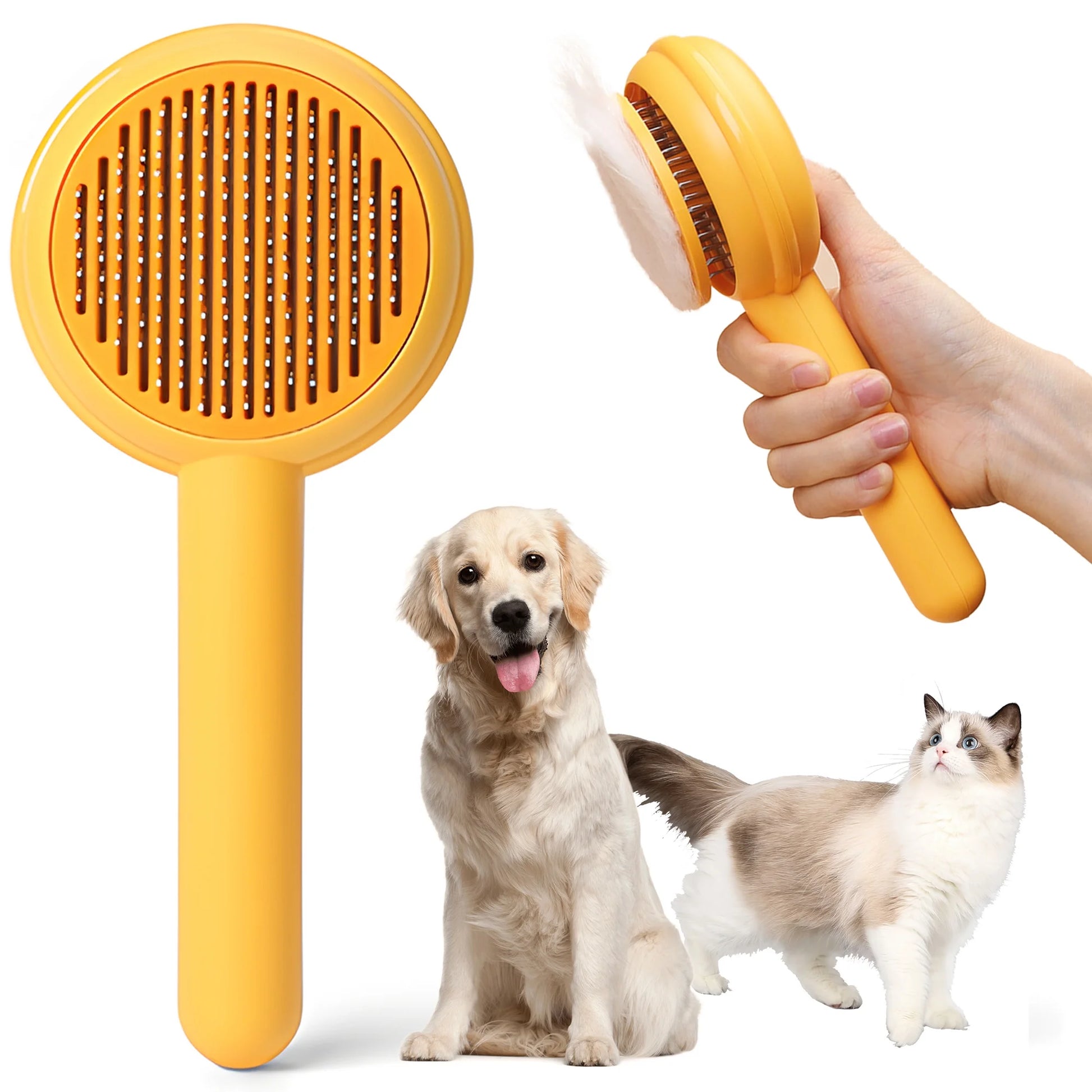 Cats&Dogs  brush 